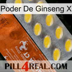 Ginseng Power X 42